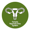 Reproductive - Female